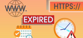 What to do when your Domain has expired?